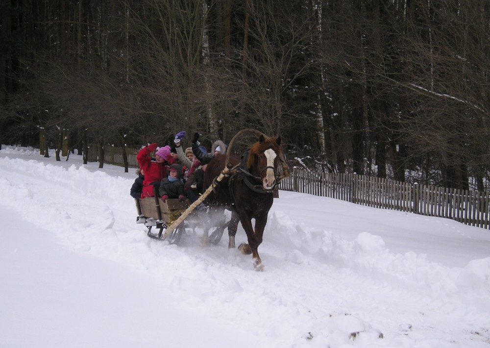 Skrebinų sodyba